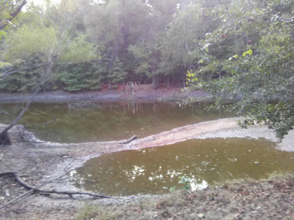 Attached picture pond 6.jpg